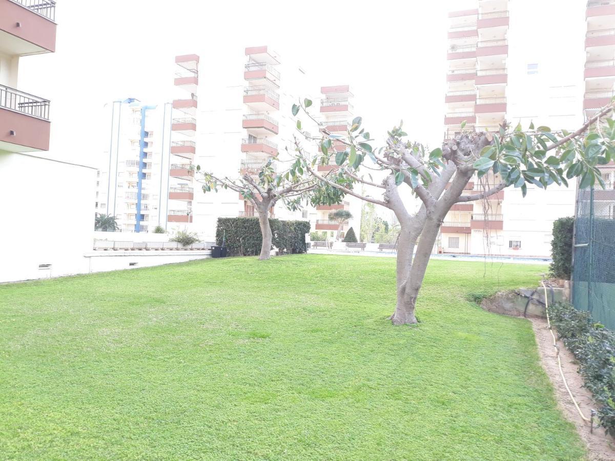 Valldigna 7 Playa De Gandia Solo Familias Exteriör bild